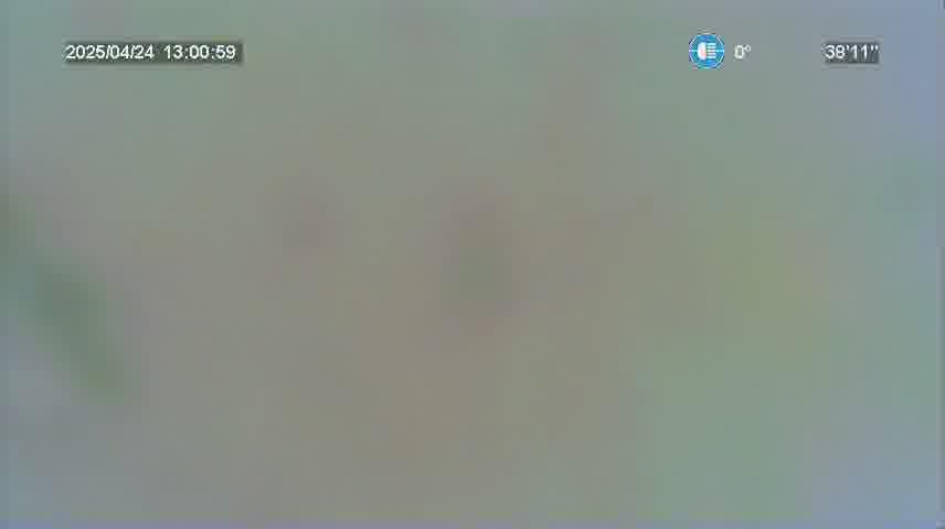 Frame